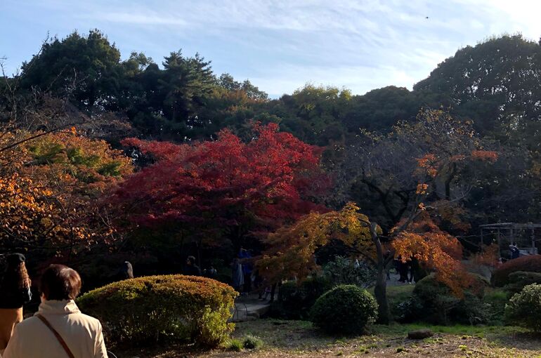 紅葉