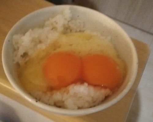双子卵