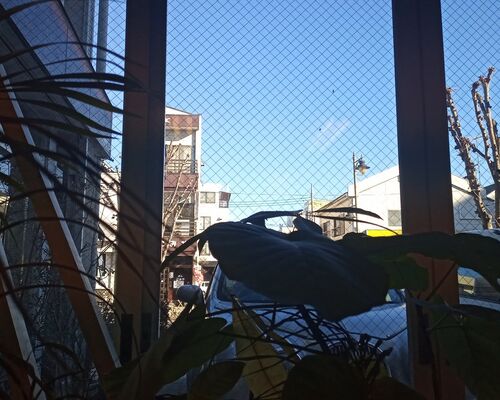 外景色