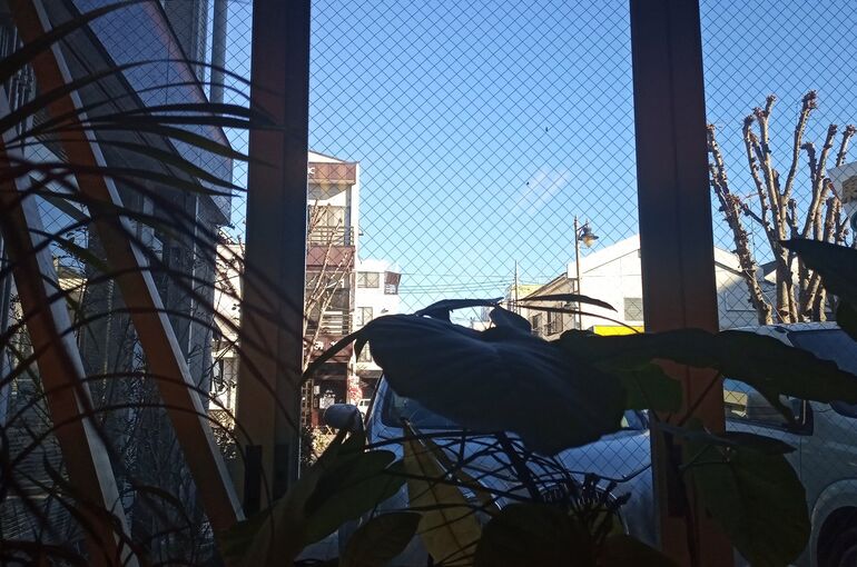 外景色