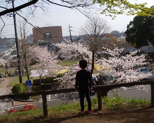 城山公園からの眺め