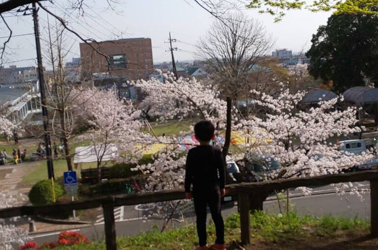 城山公園からの眺め