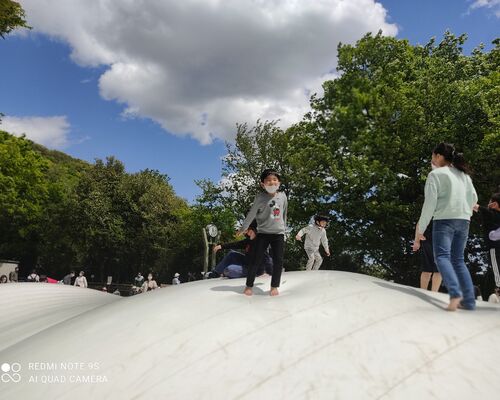 公園
