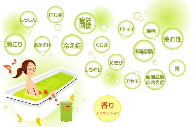 パインハイセンス　イメージ写真