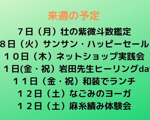 来週の予定