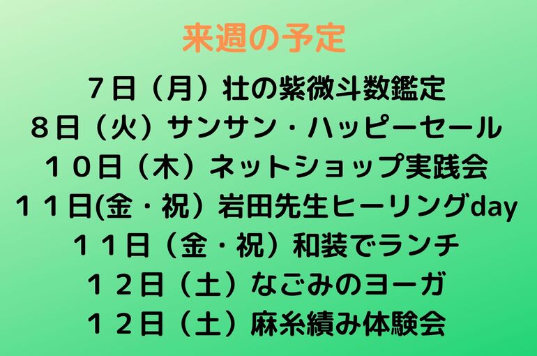 来週の予定