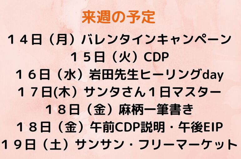 来週の予定
