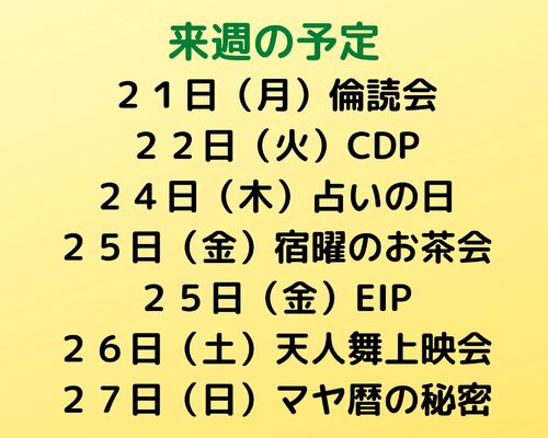 来週の予定