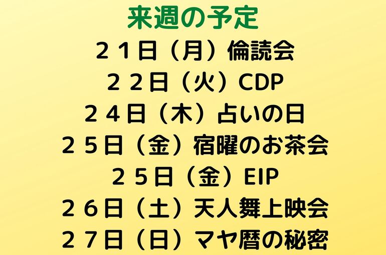 来週の予定