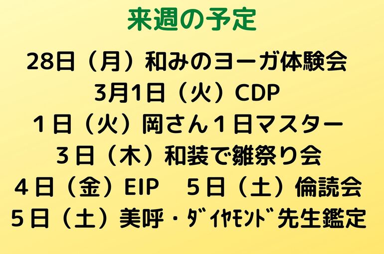 来週の予定