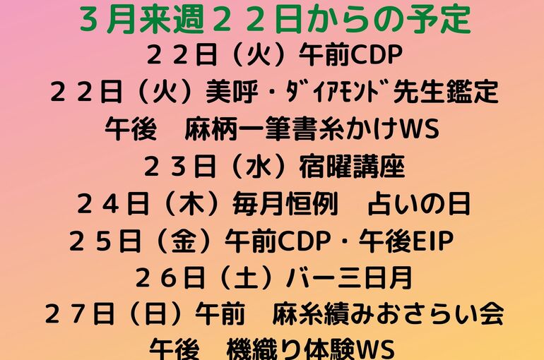 来週の予定