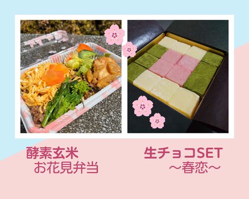お花見弁当 生チョコ春恋