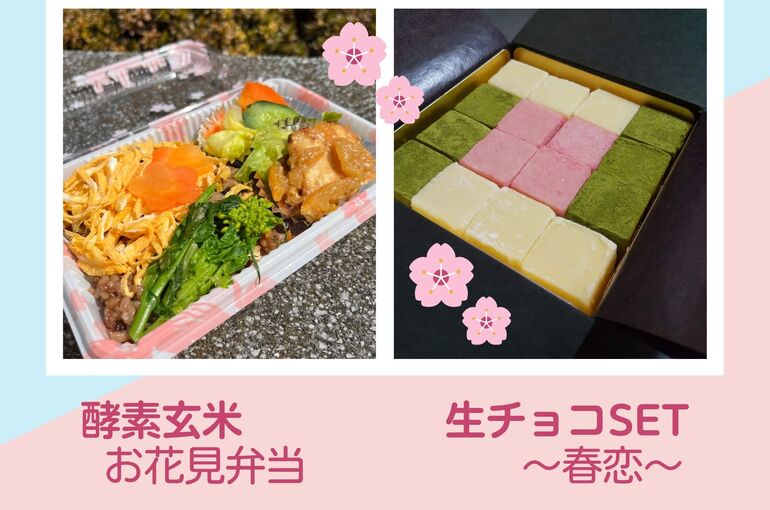 お花見弁当 生チョコ春恋