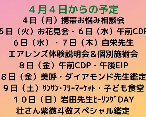 来週の予定