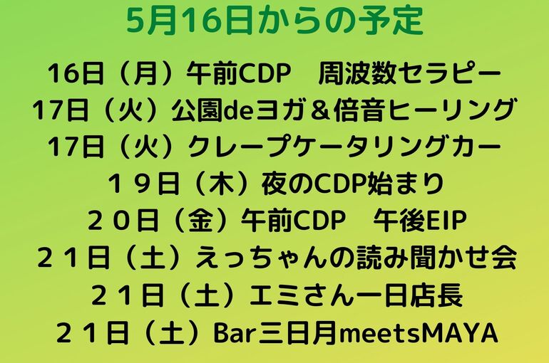 来週の予定