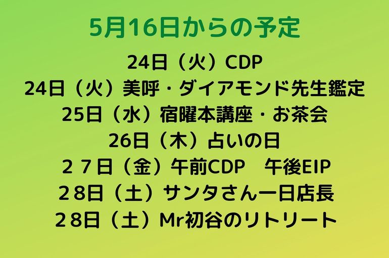 来週の予定
