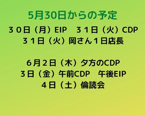来週の予定