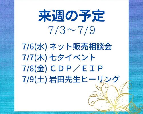 来週の予定
