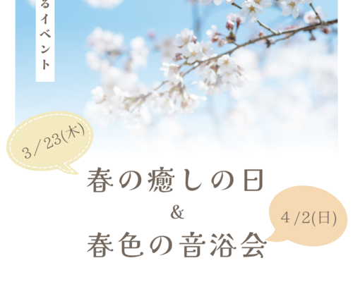 白　シンプル　春の花見イベントのお知らせ　ポスター（縦）