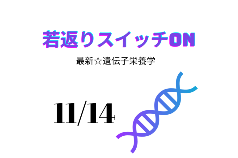 本文を追加
