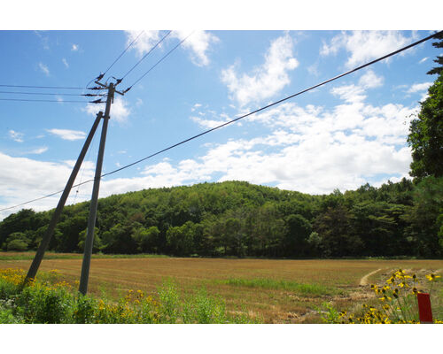 download-photo0000-2530