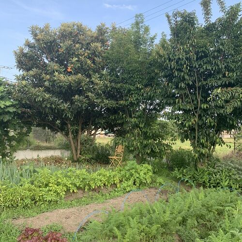 IMG_0407 - コピー