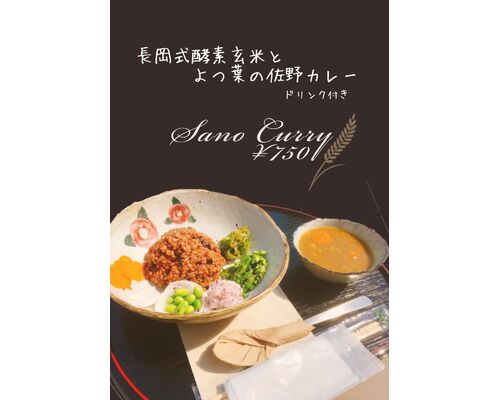 長岡式酵素玄米とよつ葉の佐野カレー