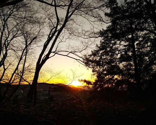 2020年、初日の出