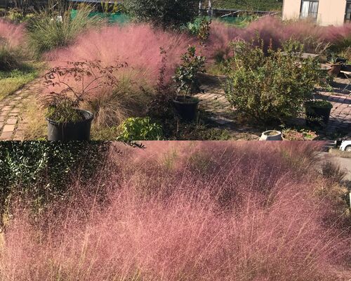 21094F36-88C0-4FAA-A117-FDDA122025F4