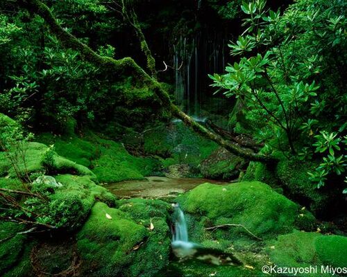 5C200090-29B7-470C-8EC7-973213548905