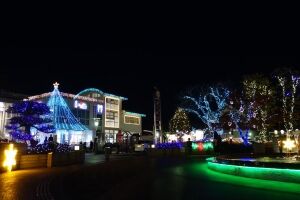 DSC04305_R.jpg