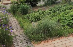 IMG_0283 (2)