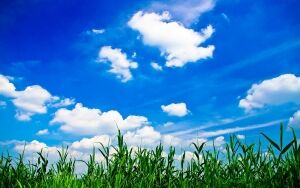 sky36.jpg